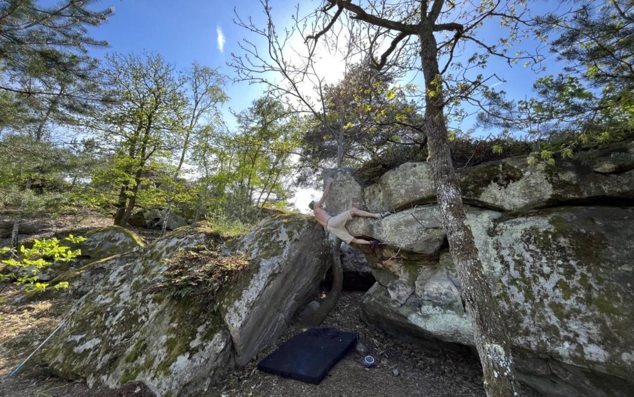 Gite Le Carpe Diem Milly-La-Foret Dış mekan fotoğraf